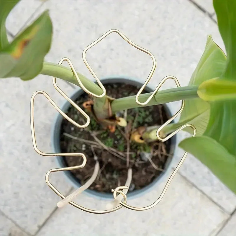 The Margaux Monstera Support Ring