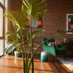 The Margaux Monstera Support Ring